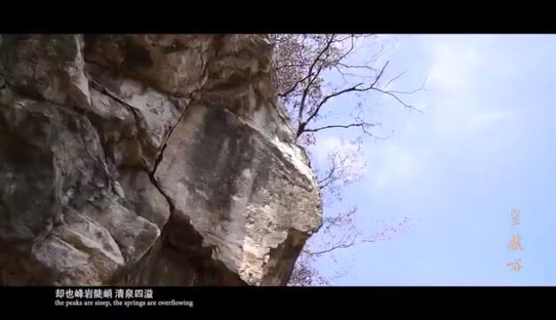 保护生物多样性 | “森森影动寺边檀”—— 皇藏峪:守护古树群落