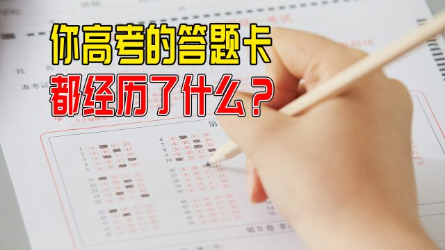 高考阅卷大揭秘!你交上去的高试卷都经历了什么?最终到了哪里?