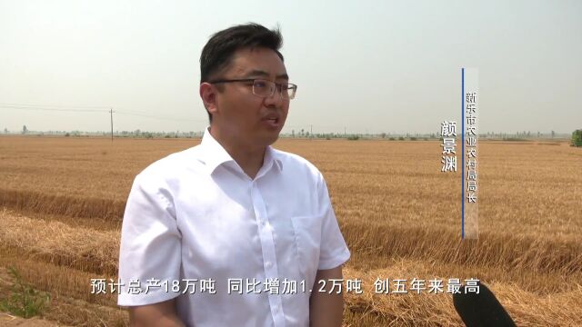 经济日报丨石家庄新乐:科技壮苗助小麦增收