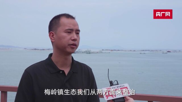 诏安上央广网了!发展海洋经济,助力乡村振兴