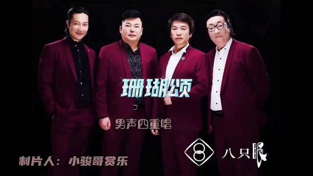 请欣赏:八只眼演唱的经典歌曲《珊瑚颂》