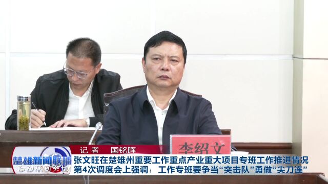 张文旺:工作专班要争当“突击队” 勇做“尖刀连”