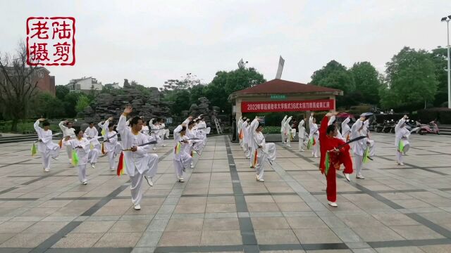 《36式太极刀》掌起老年大学太极拳班教学成果汇演作品