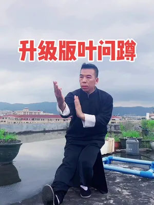 你们觉得还行吗#叶问咏春拳#叶问单腿蹲#弘扬中华武术