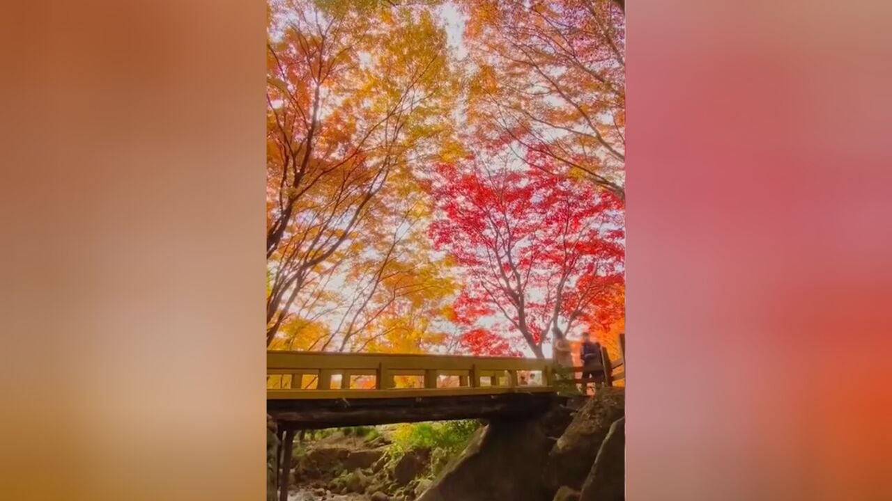 一位日本博主记录下的各种景色,好治愈!