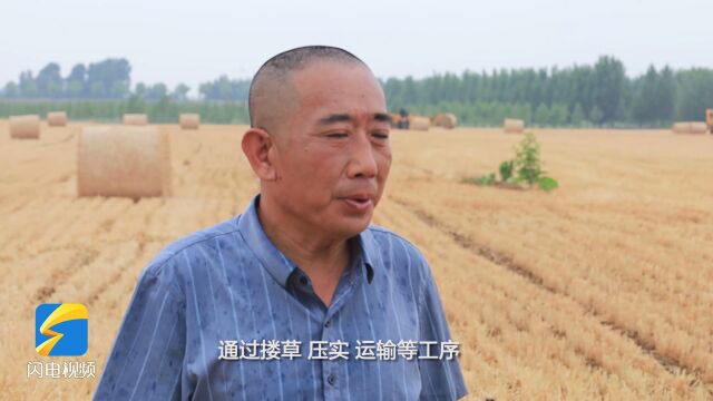 邹城农机合作社助力秸秆综合利用 让秸秆“变废为宝”