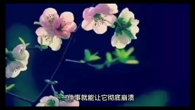 真 心(写的真好)