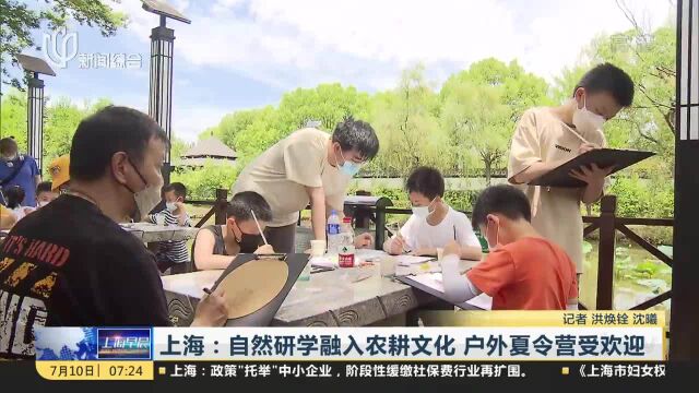 上海:自然研学融入农耕文化 户外夏令营受欢迎