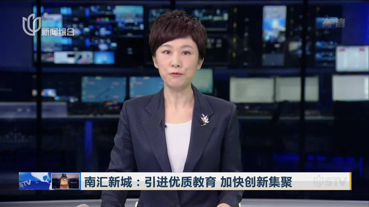 南汇新城:引进优质教育 加快创新集聚