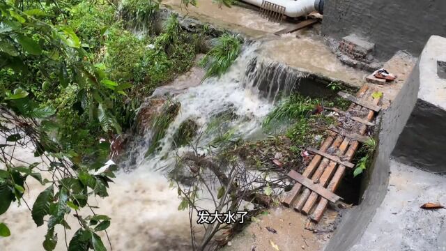 花了几万修的拦水坝不知道行不行啊这么大水