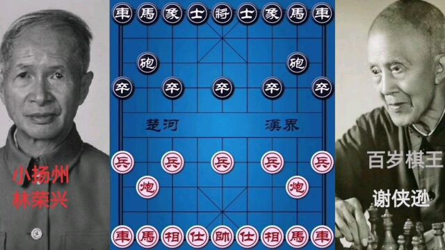 象棋小扬州林荣兴对战百岁棋王谢侠逊,可惜林先生败与鸦片!惨!