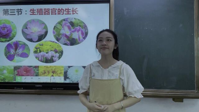 中学生物云东海街道所属学校