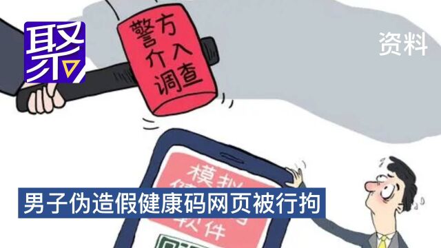 男子伪造假健康码网页被行拘