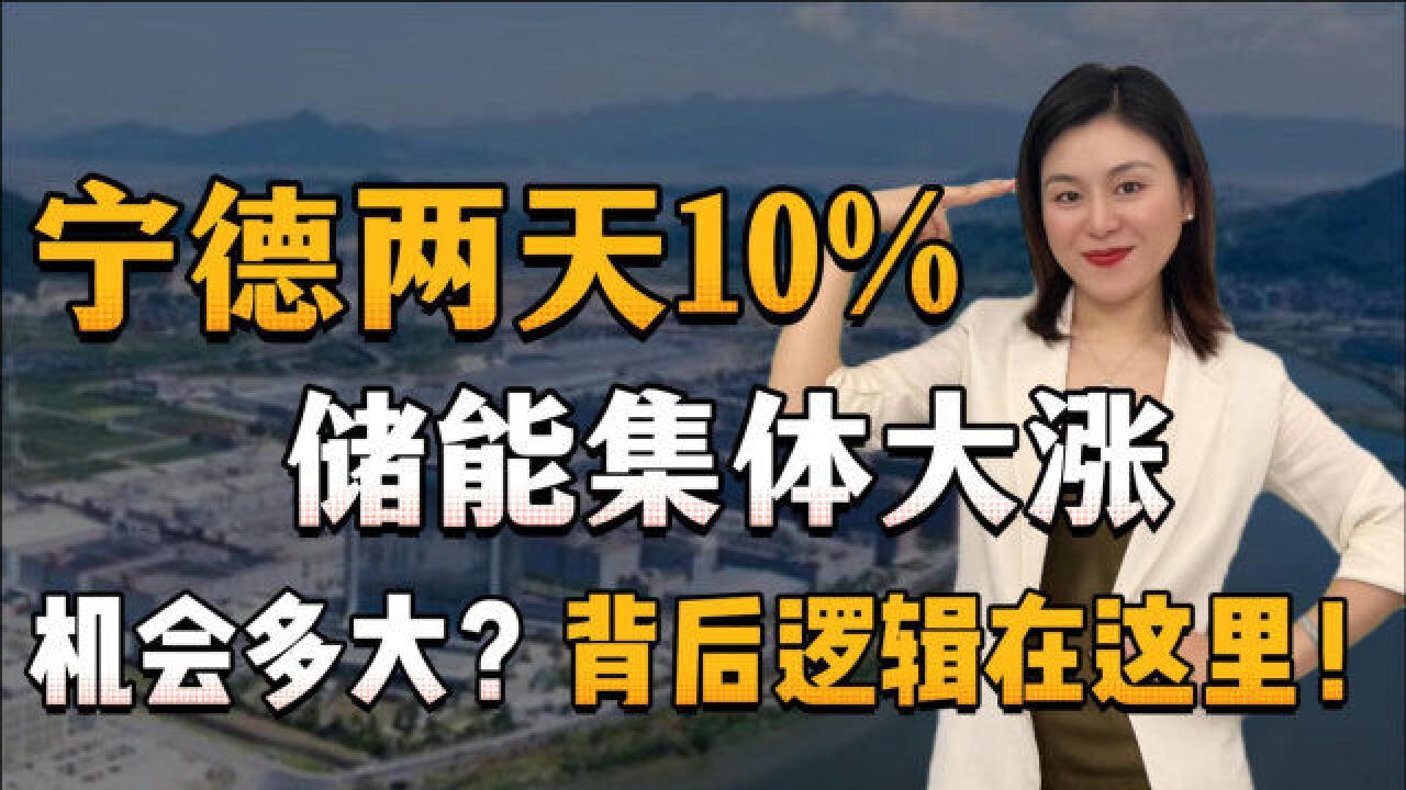 宁德两天涨超10%,储能集体大涨!机会多大?背后逻辑在这里!