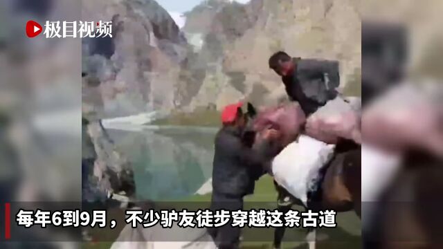 新疆文旅厅发文呼吁!