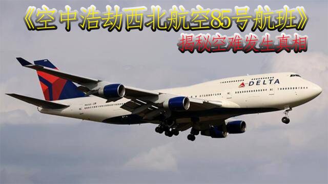 一架满载300人的波音747客机在高空中突然失去了转向装置、原因竟是一个小小的零件导致.