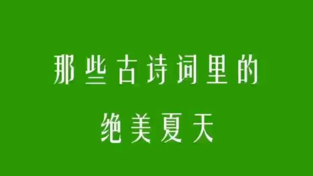 微雨过,小荷翻.榴花开欲燃|那些古诗词里的绝美夏天