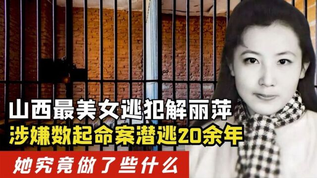 山西最美女逃犯解丽萍,潜逃20余年涉嫌数起命案,她都做了什么?