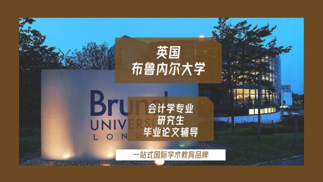 英国布鲁内尔大学会计学研究生毕业论文辅导|dissertation|essay|presentation