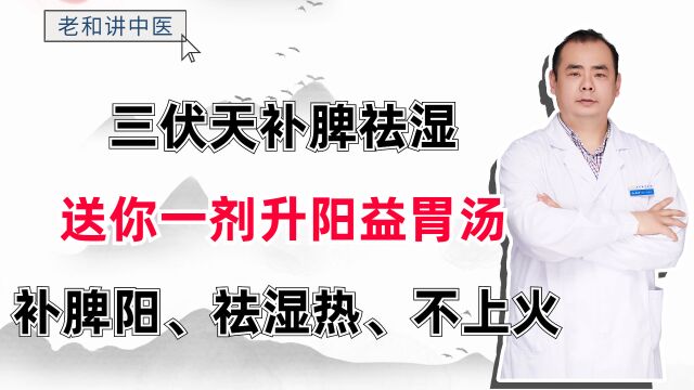 三伏天补脾祛湿?送你一剂升阳益胃汤,补脾阳、祛湿热、不上火