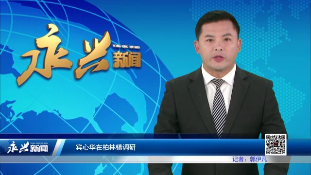 宾心华在柏林镇调研