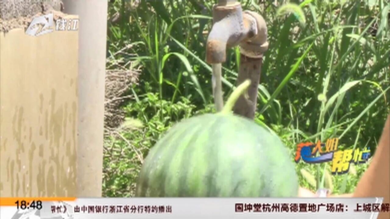 连日高温浙江多地山村缺水 送水车齐上阵缓解村民用水难