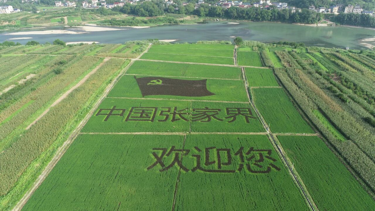 田为纸 稻为笔,稻田里绣党旗——永定区阳湖坪街道王潭新村新时代的新气象