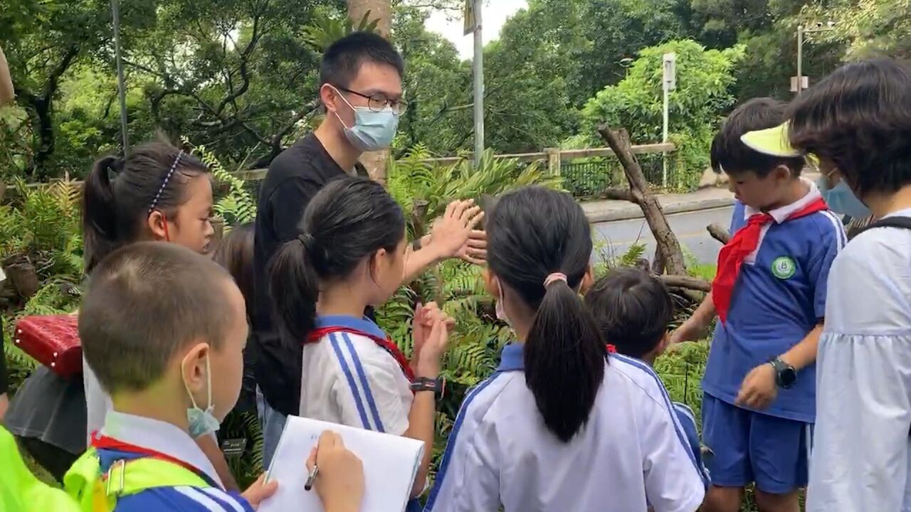 探索森林生态系统!深圳小学生暑期调研直呼大开眼界