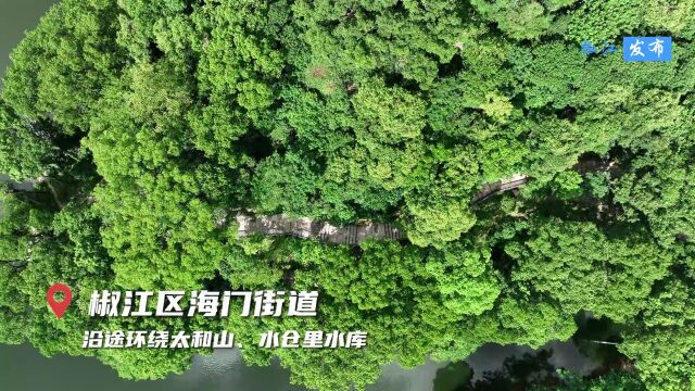 一路风光,一路清凉——台州椒江区太和山绿道即将“出道”