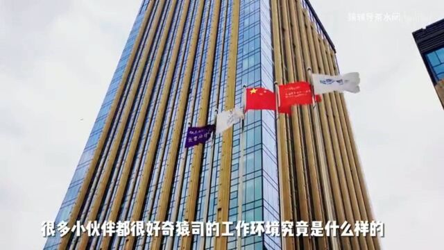 【海归求职网CareerGlobal】留学生招聘丨猿辅导求职