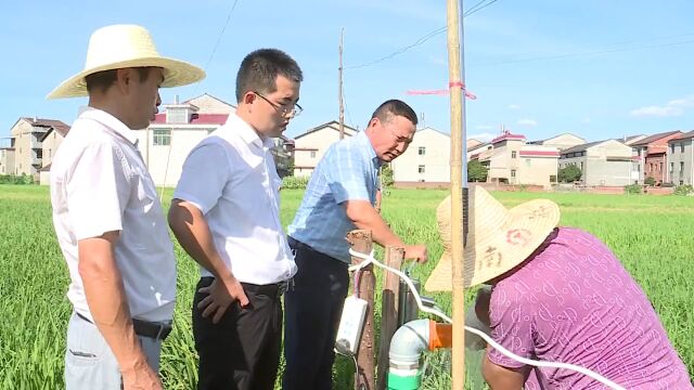 抚州市党员带头、干群合力抗旱保丰收——《防旱抗旱进行时》专栏