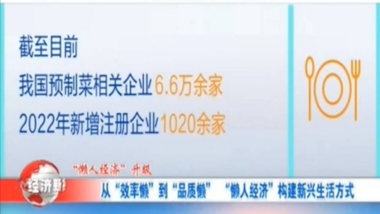 从“效率懒”到“品质懒”,“懒人经济”构建新兴生活方式