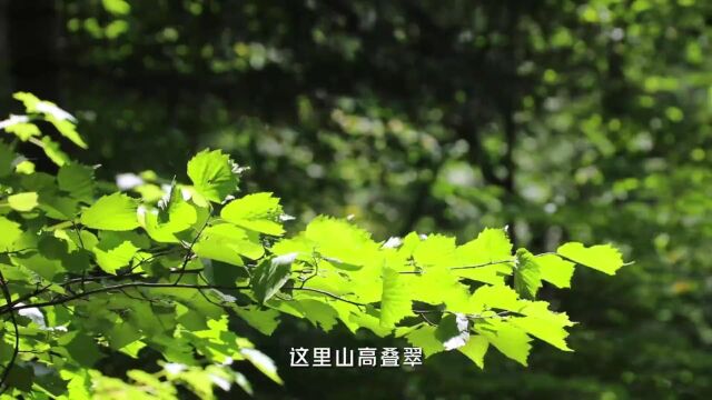 领略身边的美景——南楼山