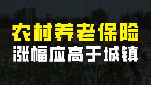 关于农村养老问题,专家代表给出建议,涨幅应高于城镇退休人员