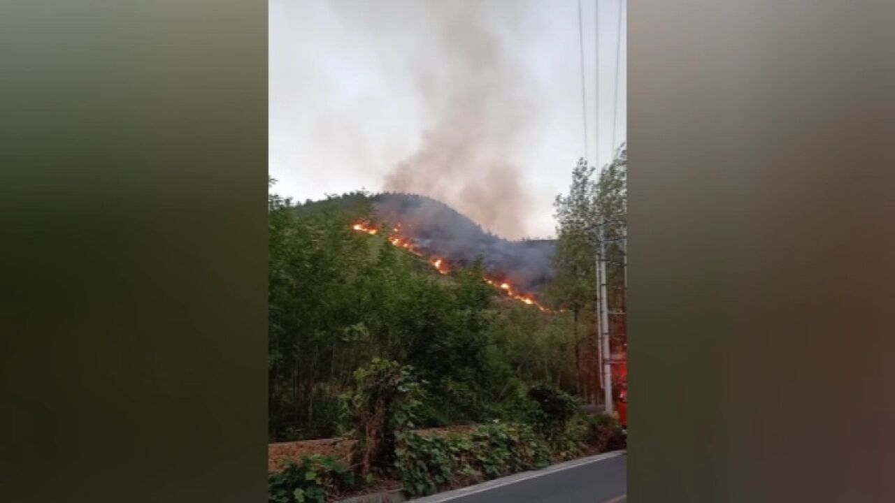 重庆酉阳发生山林火灾 目前已被扑灭