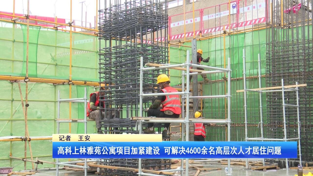 高科上林雅苑公寓项目加紧建设 可解决4600余名高层次人才居住问题