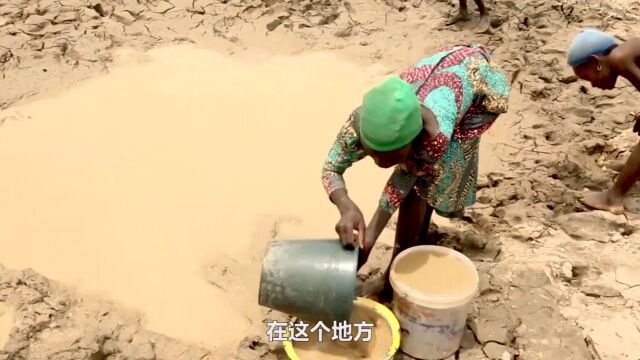 被沙子掩埋的岛国,上千年古树旱死,人与牲畜共饮浑浊的泥塘水(3)