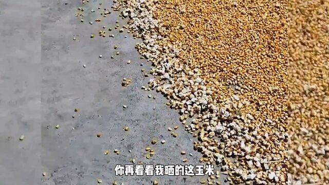 板油路热化了,把人粘住了!.