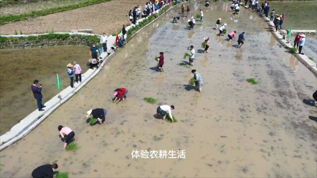 怀化旅游攻略展播|优秀奖:沅陵借母溪保子洞旅游攻略(视频)