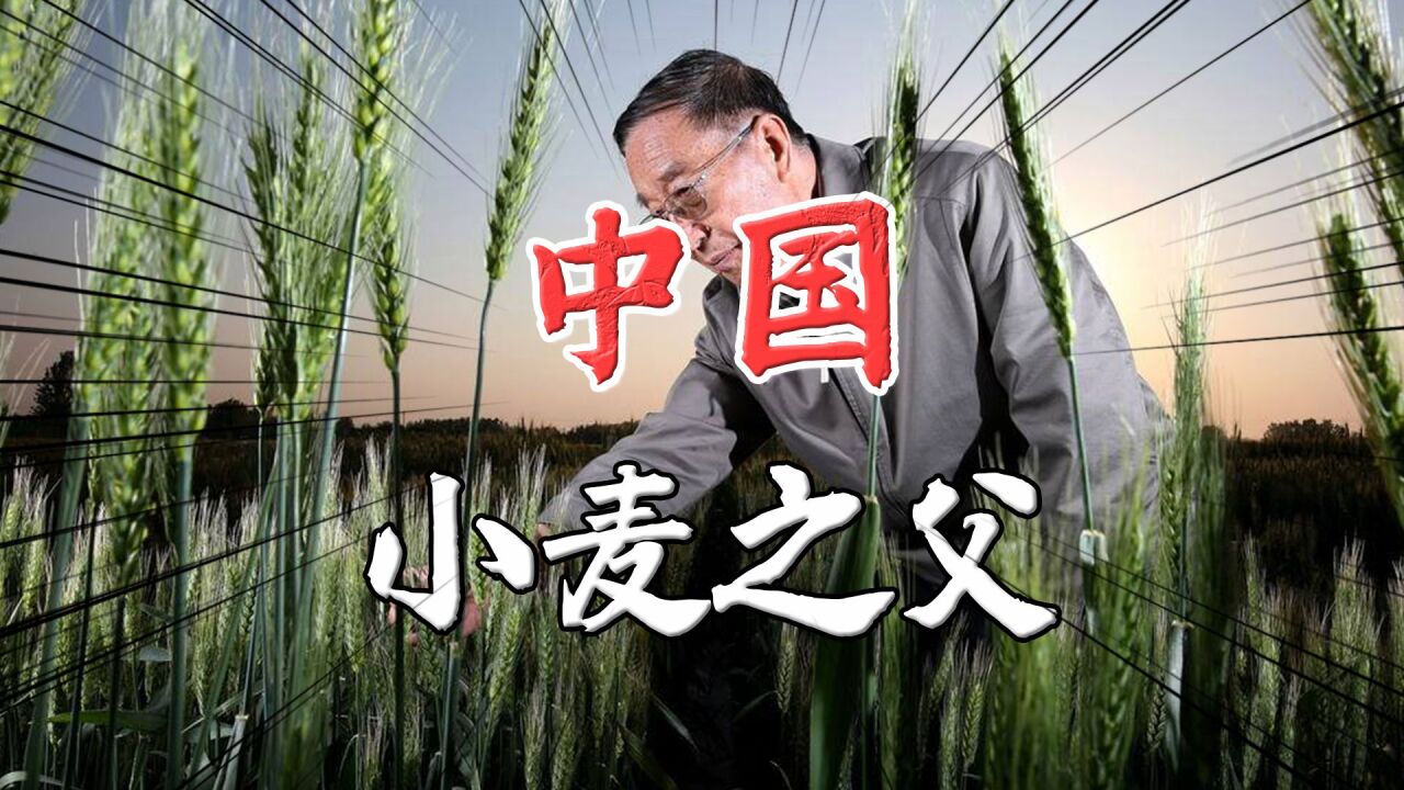 “小麦之父”李振声，对中国粮食安全作出了怎样的贡献？_腾讯视频
