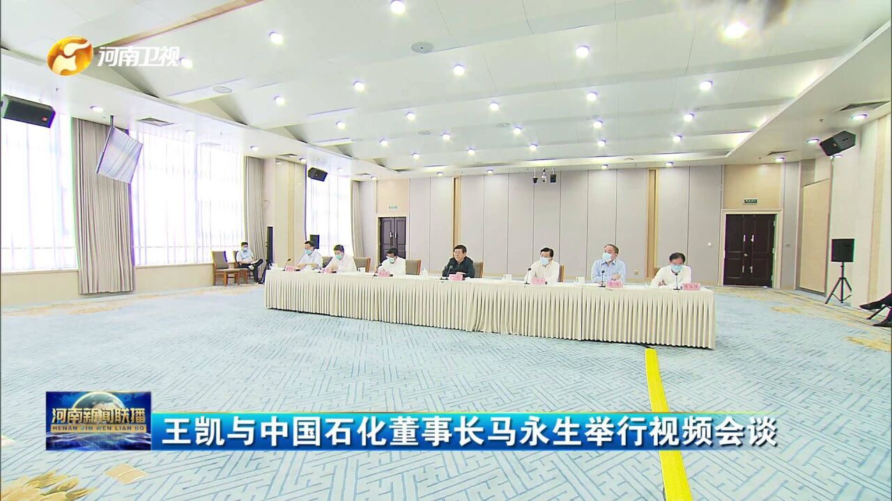 王凯与中国石化董事长马永生举行视频会谈