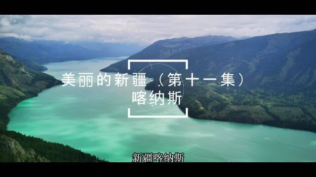 美丽的新疆(第十一集)喀纳斯