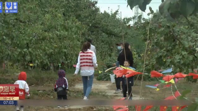 科技助力京郊果园,本地采摘游成首选