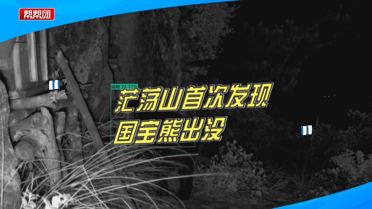 首次发现!南平茫荡山发现熊出没,红外相机拍下30秒珍贵视频