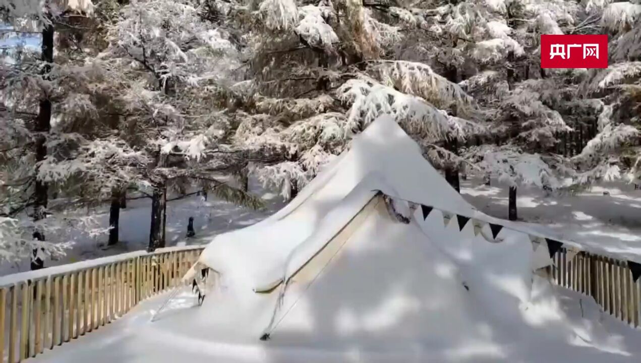 内蒙古阿尔山:金秋遇初雪 秒变童话世界