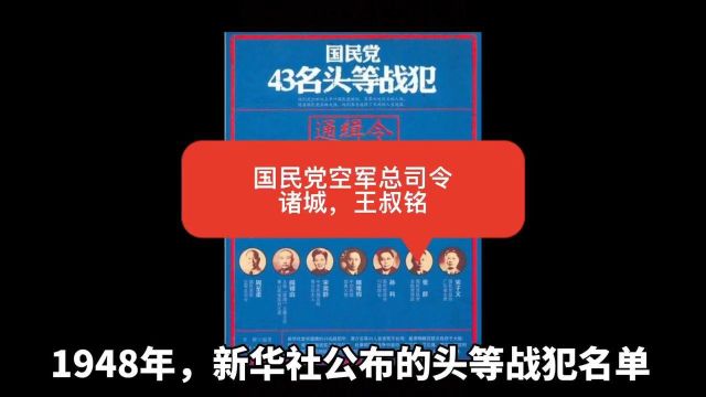 国民党空军总司令——王叔铭