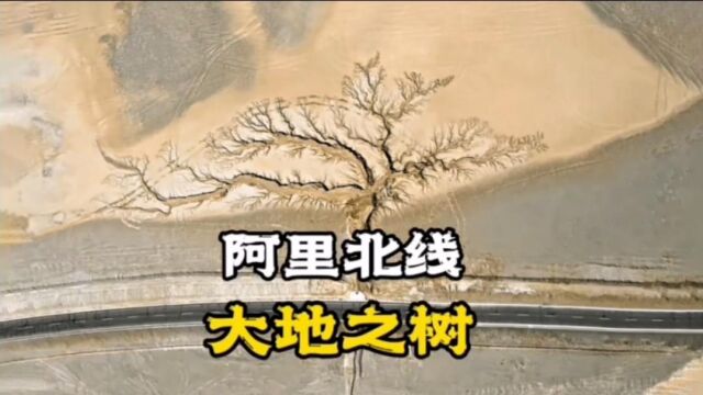 西藏阿里网红景观!尼玛县有棵“大地之树”,从来没见过