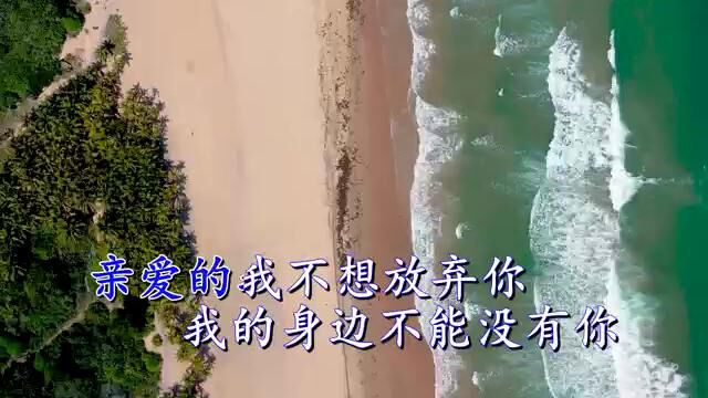 刘音演唱不想放弃你,刘音词曲,刘音演唱