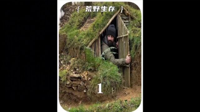 荒野生存1