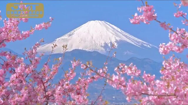 今天!日本全面开放自由行!